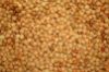 Picture of Premium Lentils Yellow/Orange 20kg